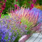 Brightly colored flower garden