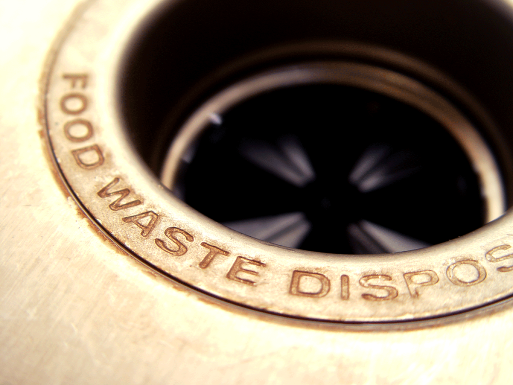 Garbage disposal - what not to put down it.